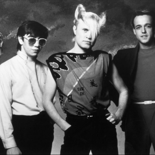A FLOCK OF SEAGULLS
