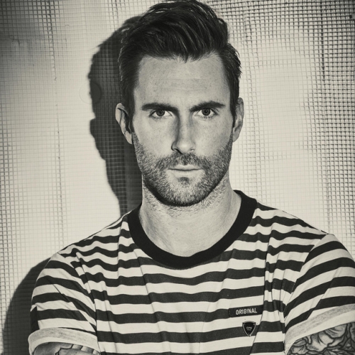 ADAM LEVINE