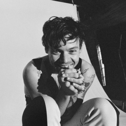 HARRY STYLES