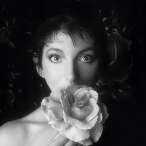 KATE BUSH