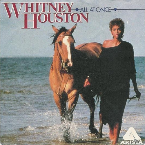WHITNEY HOUSTON - All At Once