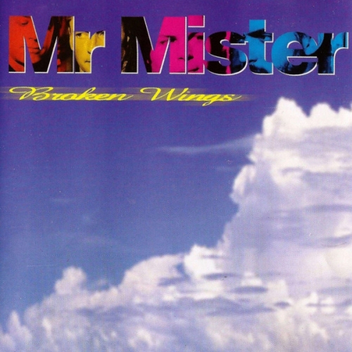 MISTER MISTER