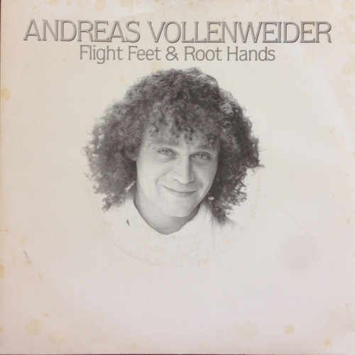 ANDREAS VOLLENWEIDER