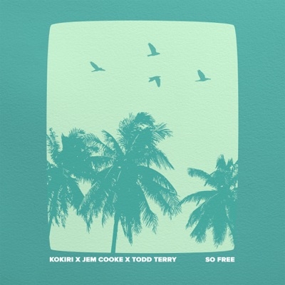 KOKIRI, JEM COOKE & TODD TERRY