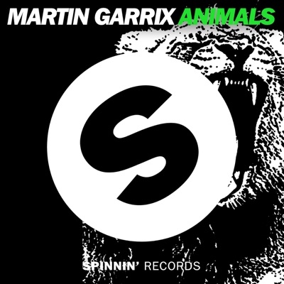 MARTIN GARRIX