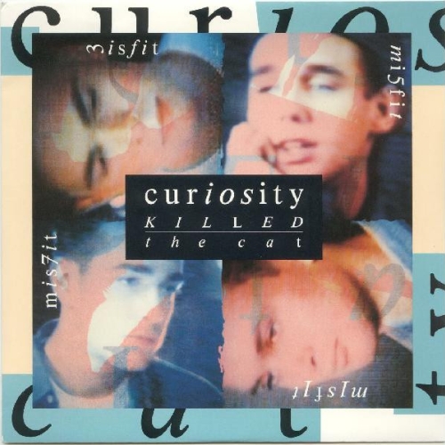 CURIOSITY KILLED THE CAT - MISFIT