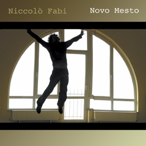 NICCOLÒ FABI