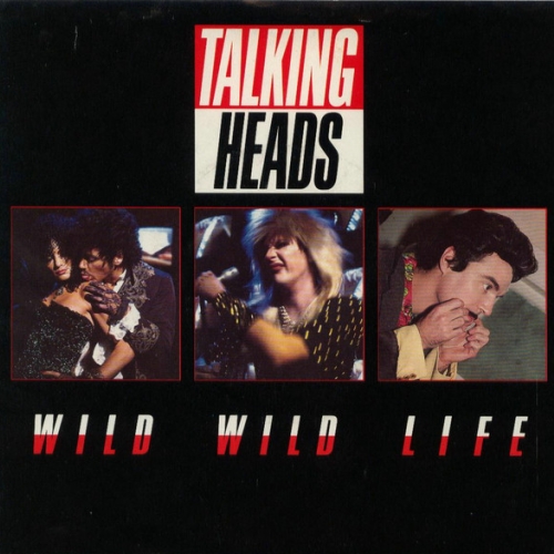 TALKING HEADS - Wild Wild Life