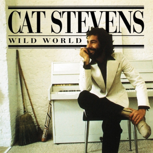 CAT STEVENS