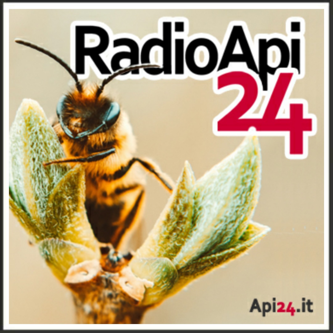 RADIO API24